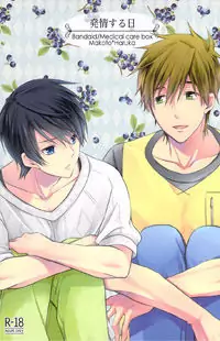Free! dj - Hatsujou Suru Hi