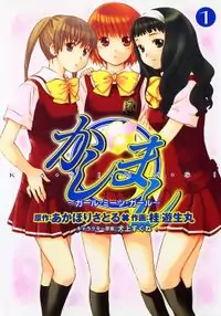 Kashimashi - Girl Meets Girl manga cover