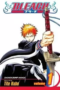 Bleach manga cover