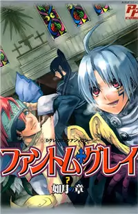 D.Gray-man dj - Phantom Gray manga cover